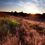 In Veluwe With Sauna Holiday home Voorthuizen