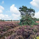 In Veluwe With Sauna Holiday home *