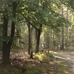 Holiday home In Veluwe With Sauna Voorthuizen