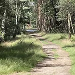 In Veluwe With Sauna *