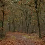 Holiday home In Veluwe With Sauna Voorthuizen