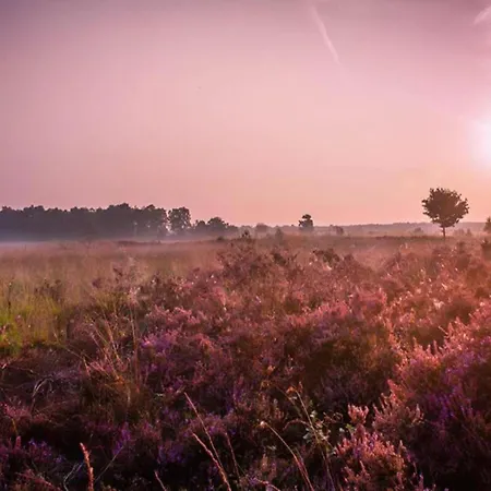 Nyaraló In Veluwe With Sauna