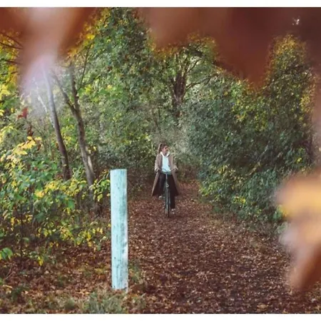 In Veluwe With Sauna