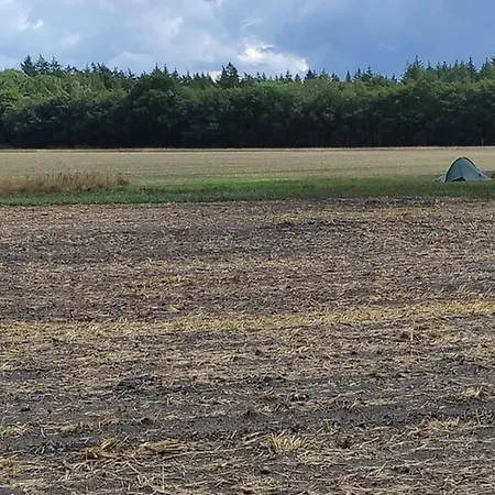 In Veluwe With Sauna Nyaraló *