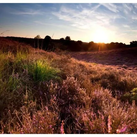Nyaraló In Veluwe With Sauna *
