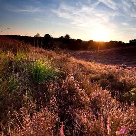 In Veluwe With Sauna Nyaraló Voorthuizen