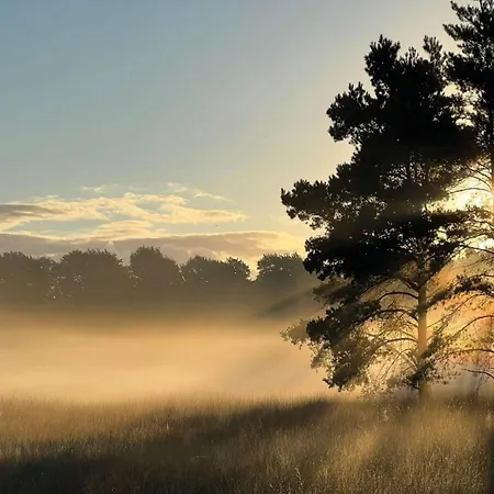 Nyaraló In Veluwe With Sauna Voorthuizen