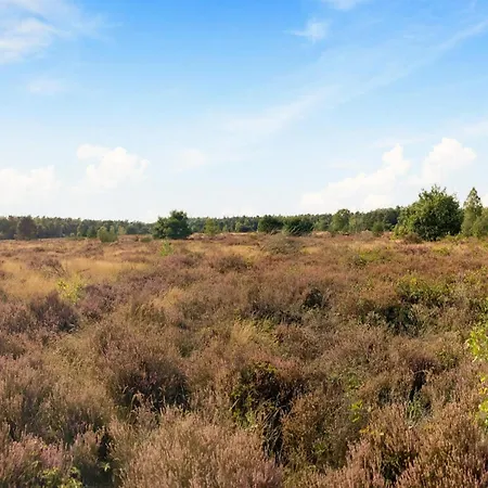 In Veluwe With Sauna Nyaraló *