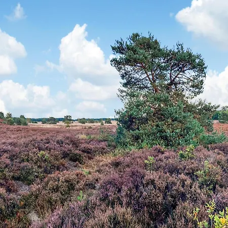 In Veluwe With Sauna Nyaraló *