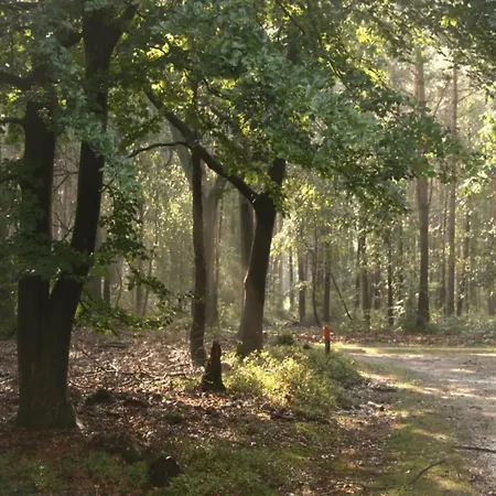 Nyaraló In Veluwe With Sauna Voorthuizen