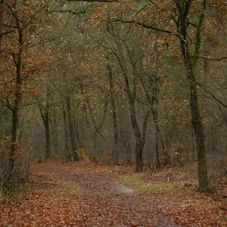 Nyaraló In Veluwe With Sauna Voorthuizen