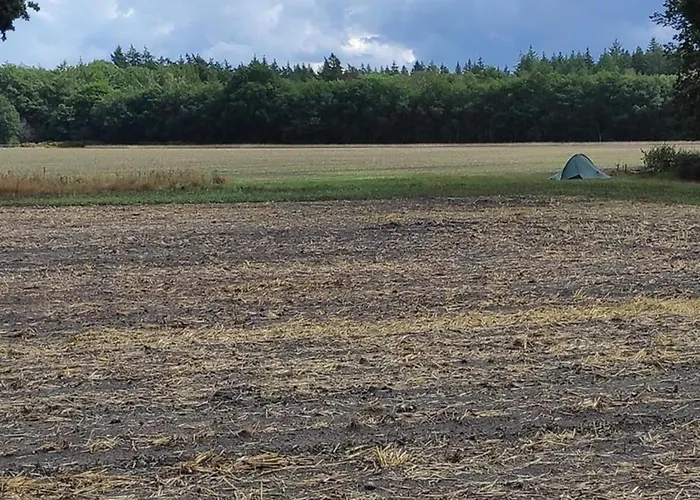 In Veluwe With Sauna Holiday home *