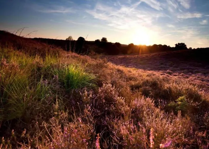 Holiday home In Veluwe With Sauna *