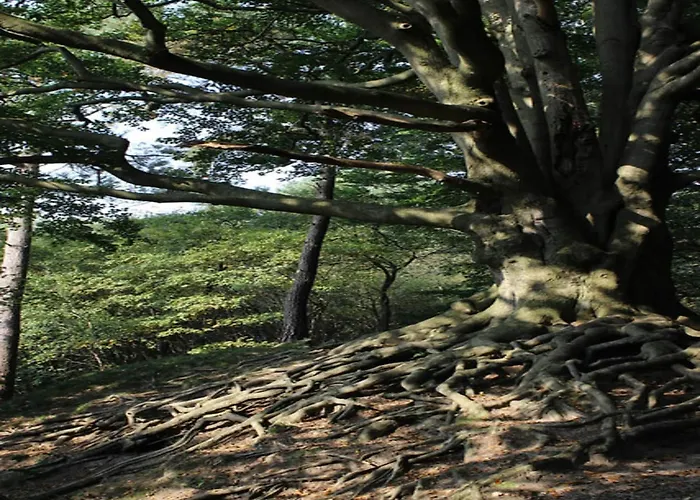 Dom wakacyjny In Veluwe With Sauna Voorthuizen