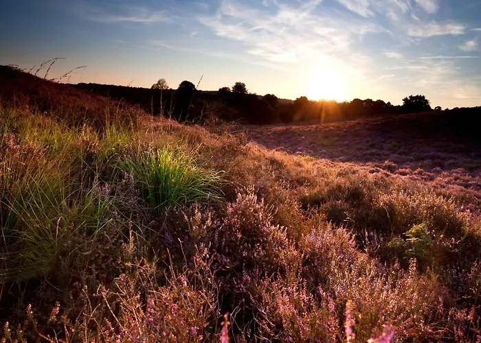 In Veluwe With Sauna Holiday home Voorthuizen