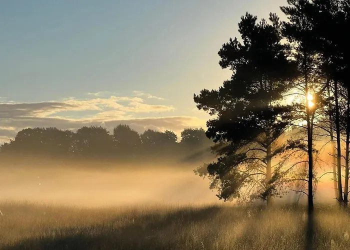 Holiday home In Veluwe With Sauna Voorthuizen