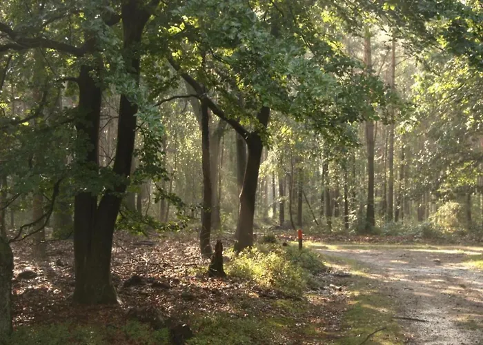 Dom wakacyjny In Veluwe With Sauna Voorthuizen