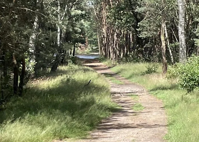 In Veluwe With Sauna *